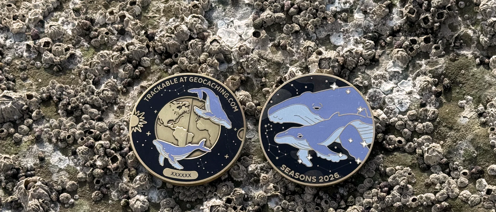 Gear Up for the Hunt